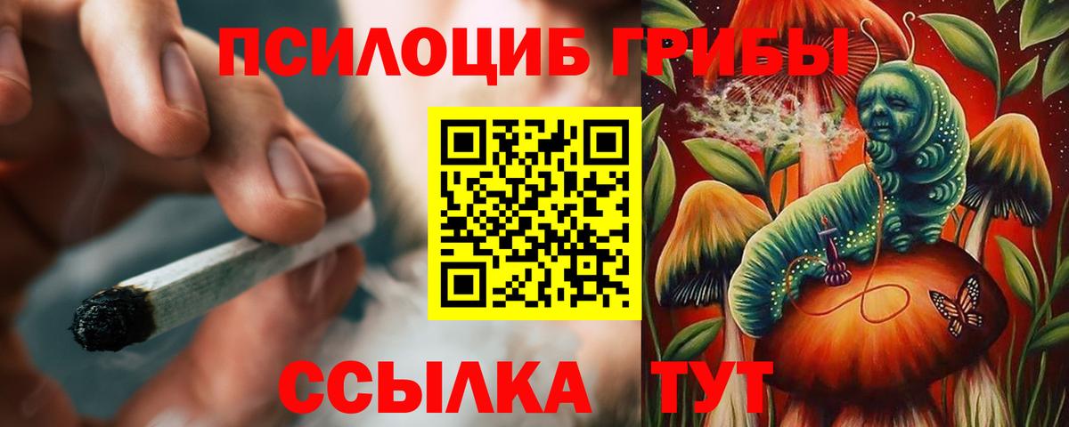 Псилоцибиновые грибы мицелий  Псилоцибиновые грибы мухоморы  Вход с VPN  Тимашёвск 